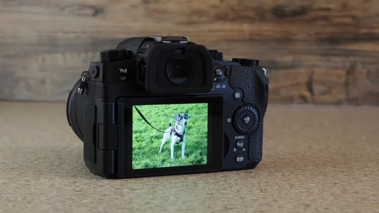 Обзор Panasonic Lumix G97: камера для любителей, цена для новичков фото