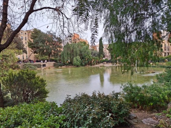 Samsung Galaxy A36 5G против Galaxy A35 5G: главные различия фото