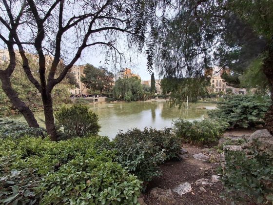 Samsung Galaxy A36 5G против Galaxy A35 5G: главные различия фото