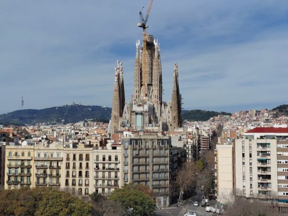 Samsung Galaxy A36 5G против Galaxy A35 5G: главные различия фото