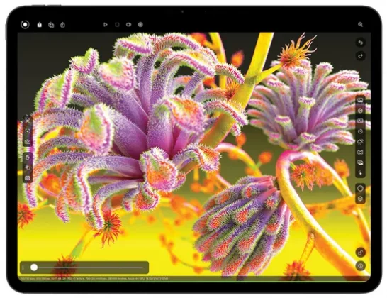 Apple iPad Pro 11 (M4)