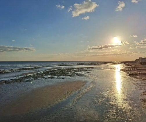 Обзор Samsung Galaxy A56-16