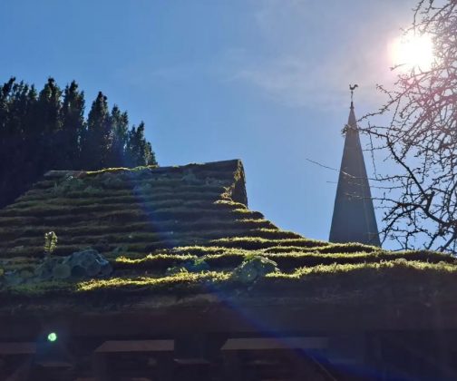 Обзор смартфона Samsung Galaxy A56: похудел и поумнел фото