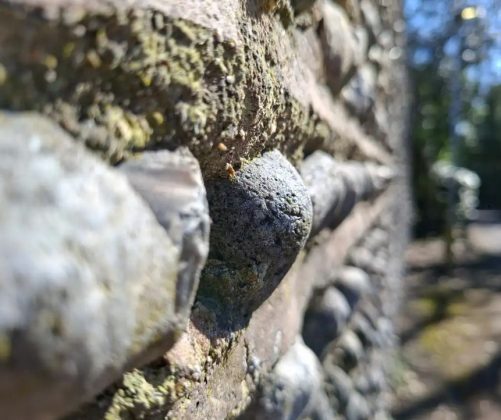 Обзор смартфона Samsung Galaxy A56: похудел и поумнел фото