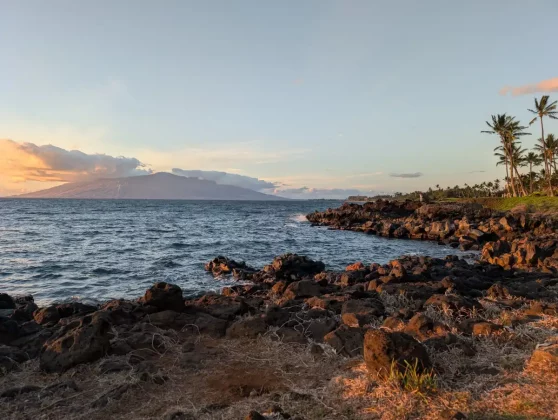 3 месяца с Pixel 9 Pro XL: хорошее, плохое и отчасти ужасное фото