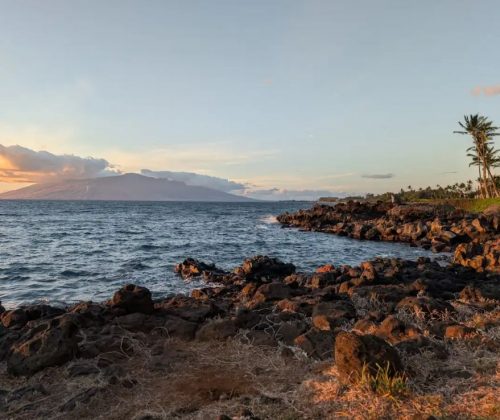 Хорошее, плохое и отчасти ужасное про Pixel 9 Pro XL фото