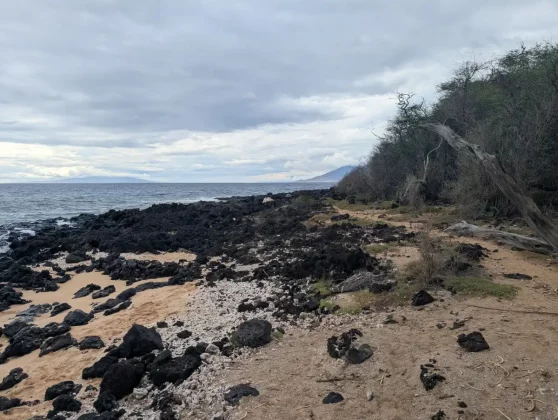 3 месяца с Pixel 9 Pro XL: хорошее, плохое и отчасти ужасное фото