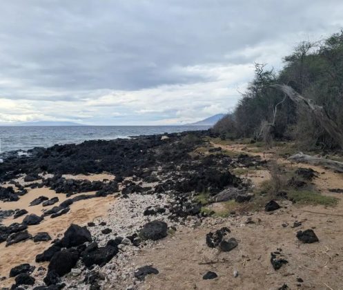 Хорошее, плохое и отчасти ужасное про Pixel 9 Pro XL фото