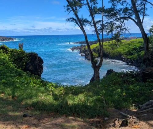 Хорошее, плохое и отчасти ужасное про Pixel 9 Pro XL фото