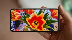 Лучшие бюджетные телефоны с камерой: модели от Samsung, Google, Apple и других