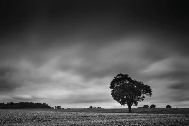 Canon EOS 5D Mark IV-4