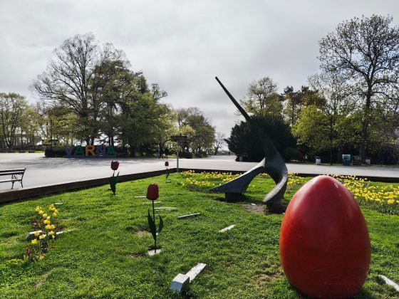 Pixel 9a vs Nothing Phone (3a) Pro-8