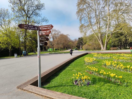 Pixel 9a vs Nothing Phone (3a) Pro-10