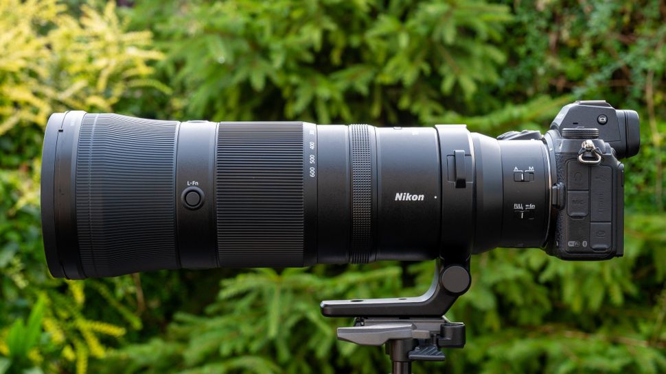 Nikon Z 180-600mm f/5.6-6.3 VR󠁩󠁩󠁩󠁩󠁩󠁩-2