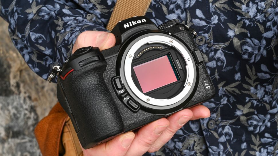 Nikon Z6 II-2
