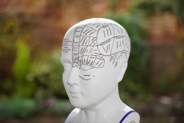 Sony E 16-55 мм f/2,8 G󠁩󠁩󠁩󠁩󠁩󠁩-5