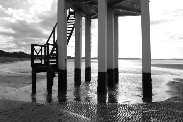 Pentax K-3 Mark III Monochrome-4