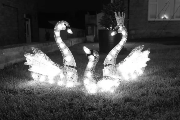 Pentax K-3 Mark III Monochrome-6