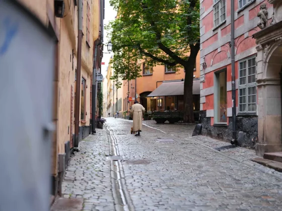 Fujifilm GFX 100 II-3