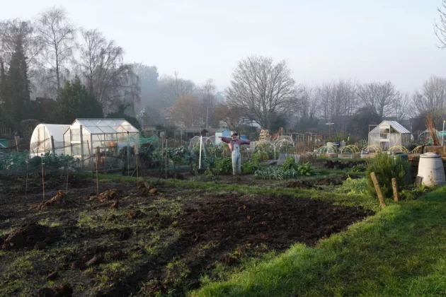 Sony FE 35 мм f/1.4 G Master-2