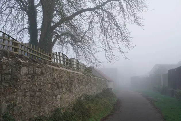 Sony FE 35 мм f/1.4 G Master-3