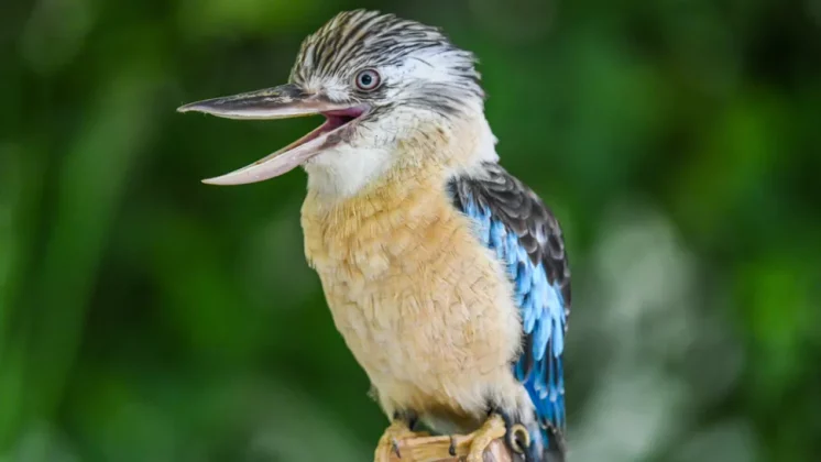 Nikon D850󠁩󠁩󠁩󠁩󠁩󠁩-5