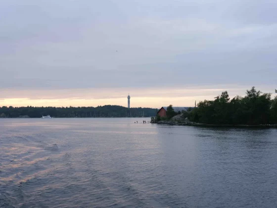 Fujifilm GFX 100 II-7