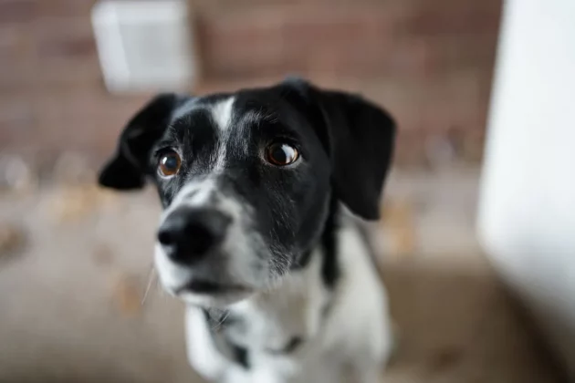 Sony FE 35 мм f/1.4 G Master-6