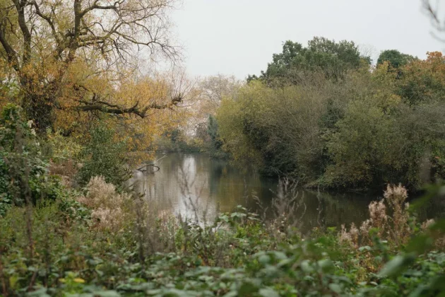 Fujifilm X-M5󠁩󠁩󠁩󠁩󠁩󠁩-6