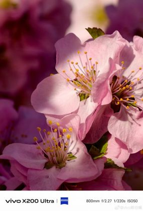 Дополнительный зум-объектив vivo X200 Ultra-5