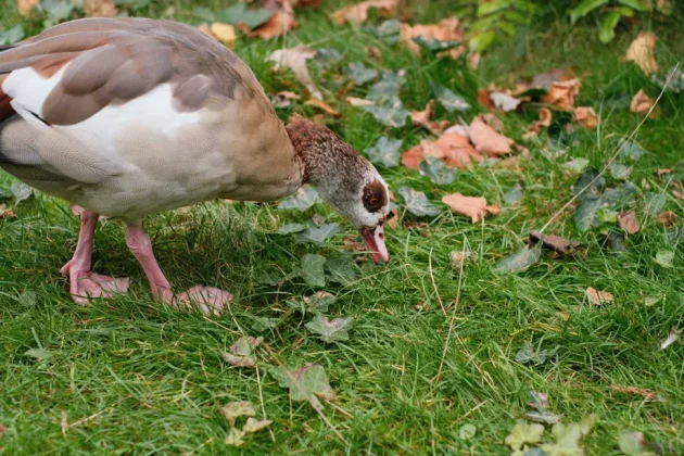 Fujifilm X-M5󠁩󠁩󠁩󠁩󠁩󠁩-7