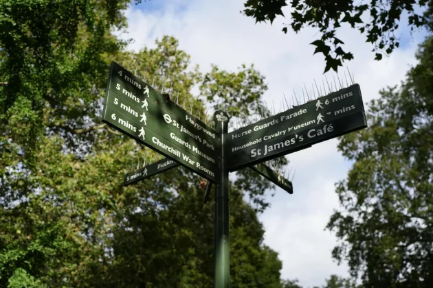 Sony FE 24-70 мм f/2.8 GM II-3