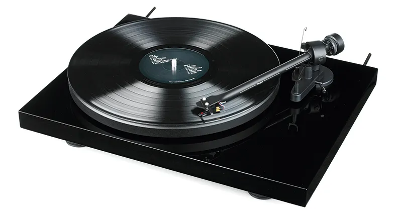 Pink Triangle Tarantella