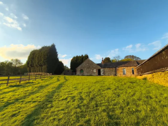 Обзор CMF Phone 2 Pro: лучше камеры, выше производительность фото