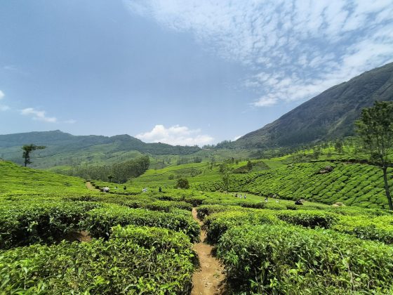 У телефона CMF Phone 2 Pro – "лучшая в своем сегменте" камера фото