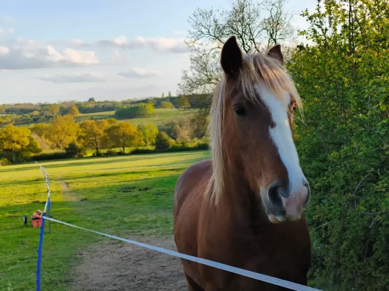 Обзор CMF Phone 2 Pro: лучше камеры, выше производительность фото