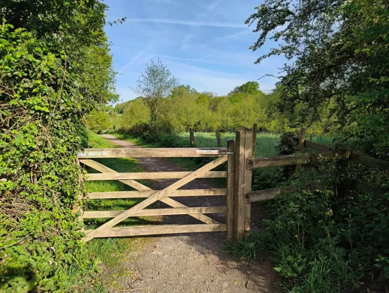 Обзор CMF Phone 2 Pro: доступный, стильный, функциональный фото