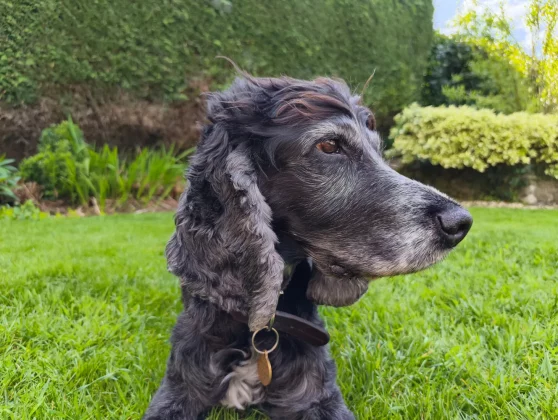 Обзор CMF Phone 2 Pro: доступный, стильный, функциональный фото