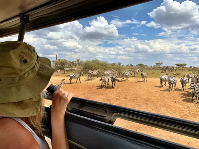 Лучшие объективы для фотосъемки сафари в 2025 году Лучшие объективы для фотосъемки сафари в 2025 году