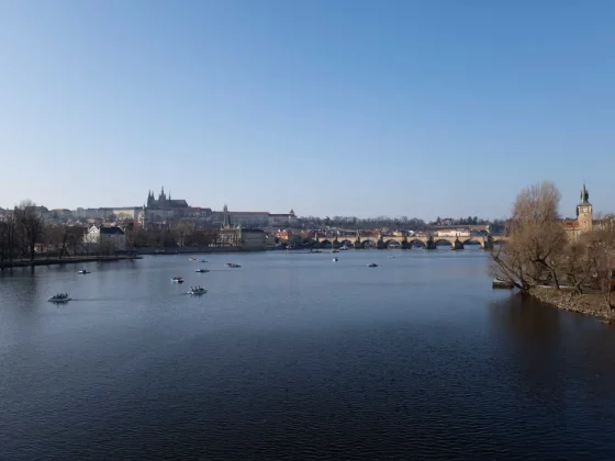 Fujifilm GFX100RF против Fujifilm X100VI