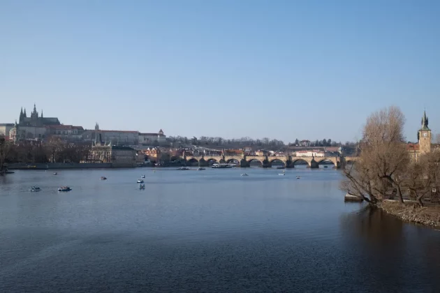 Fujifilm GFX 100RF против Fujifilm X100VI: стоит ли платить больше? фото