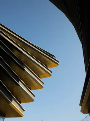 Fujifilm GFX 100RF против Fujifilm X100VI: стоит ли платить больше? фото