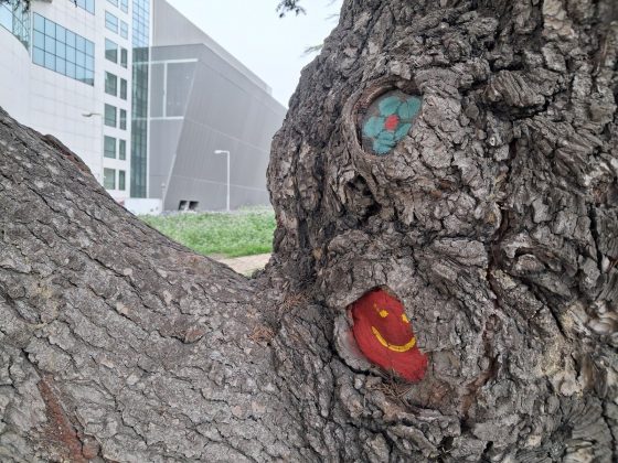 Samsung Galaxy A26 против Galaxy A36 фото