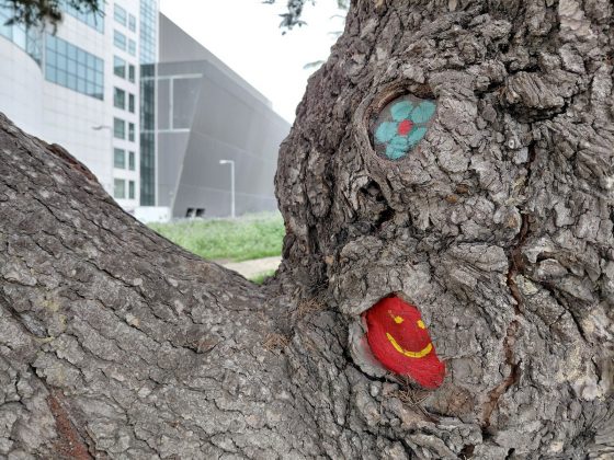 Samsung Galaxy A26 против Galaxy A36 фото