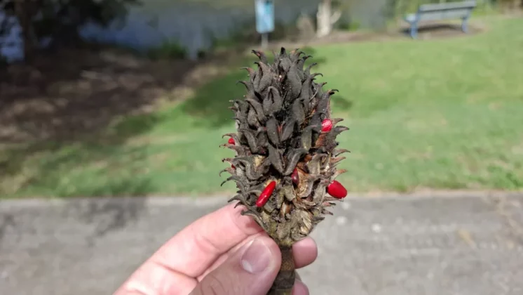 Galaxy A56 так хорош, что я готов выбросить свой iPhone фото