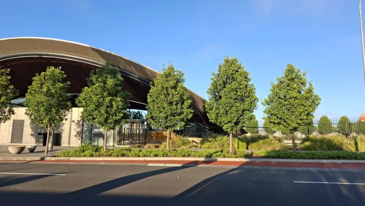 Galaxy A56 так хорош, что я готов выбросить свой iPhone фото