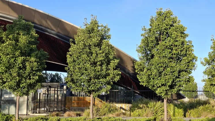 Galaxy A56 так хорош, что я готов выбросить свой iPhone фото