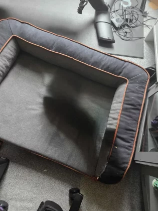 Galaxy AI против Apple Clean Up: фоторедакторы с ИИ в реальном тесте фото