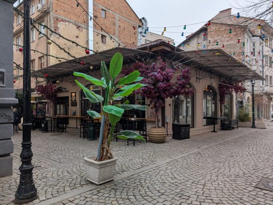 Samsung Galaxy S25 против Google Pixel 9: битва флагманов фото