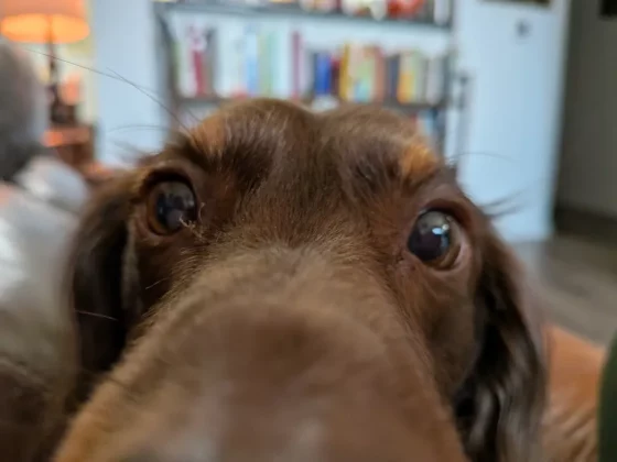 Обзор Pixel 9a: жутко уродливый, но почти идеальный телефон фото